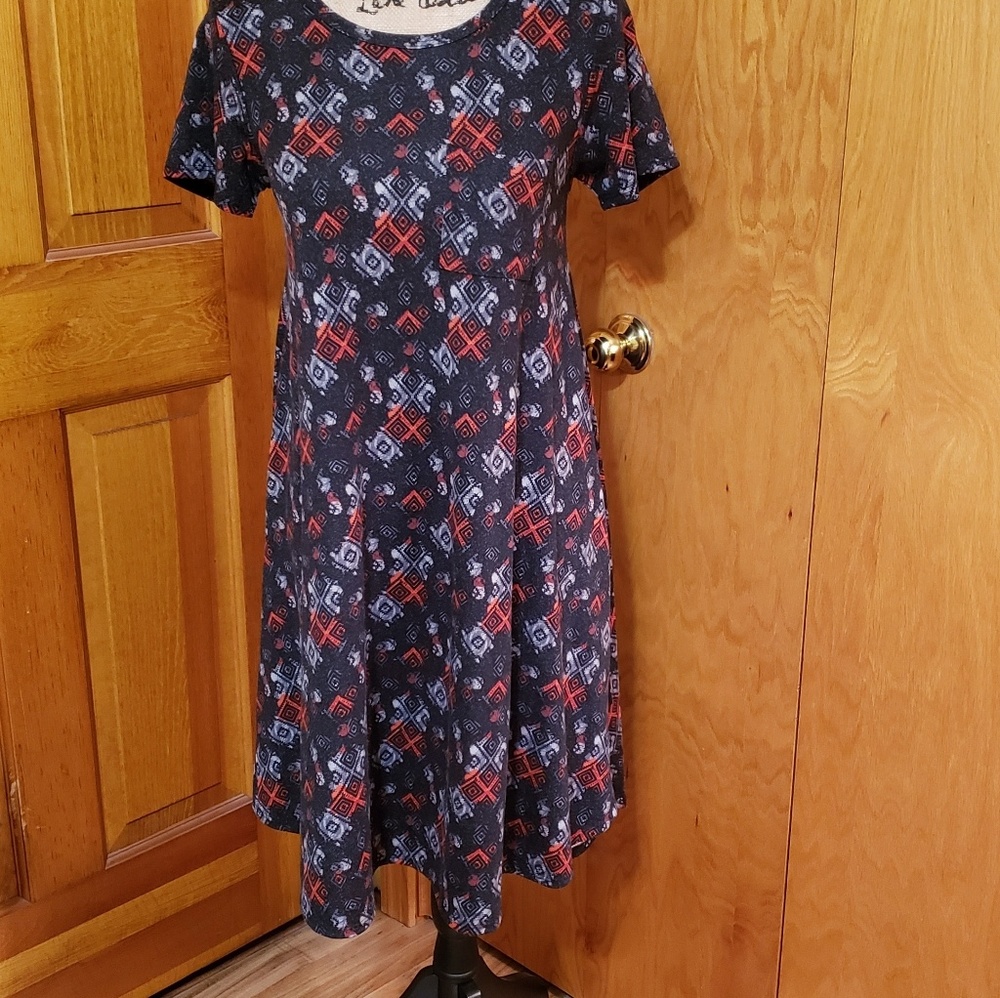 4 for 20/Lularoe dress